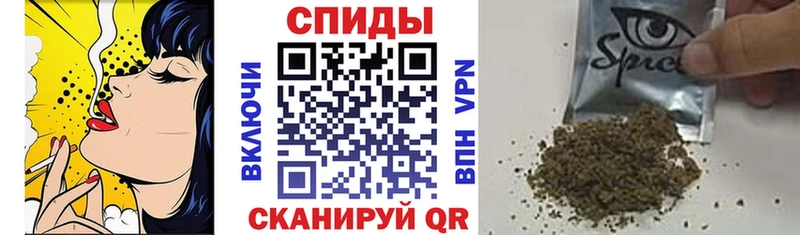 где можно купить   Красный Кут  БУТИРАТ буратино 