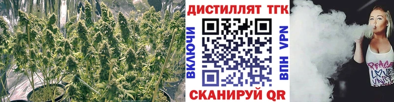 ТГК вейп с тгк  blacksprut как войти  Красный Кут 
