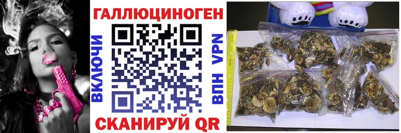 Галлюциногенные грибы прущие грибы  Красный Кут 